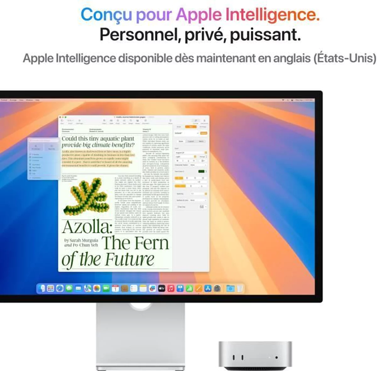 Apple Mac mini Apple M M4 16 Go 512 Go SSD macOS Sequoia Mini PC Argent – Image 3